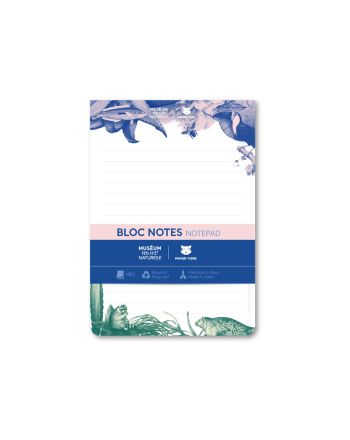 Blocs-notes - Multicolore