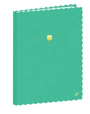 Carnets - Vert