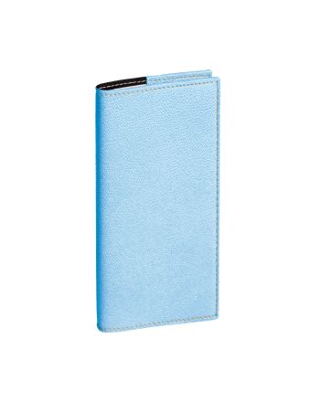 AGENDAS ANNUELS - VISOPLAN - BLEU CLAIR