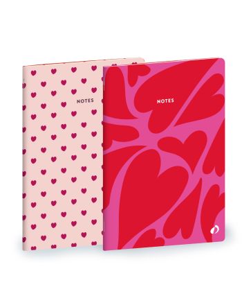 CARNETS - MULTICOLOR