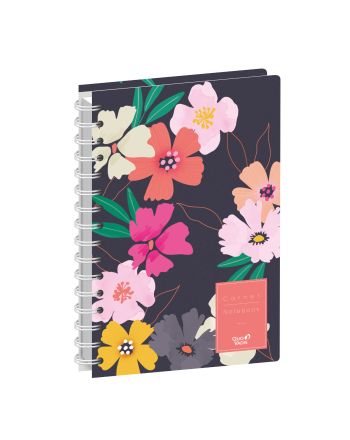 CARNETS - MULTICOLOR