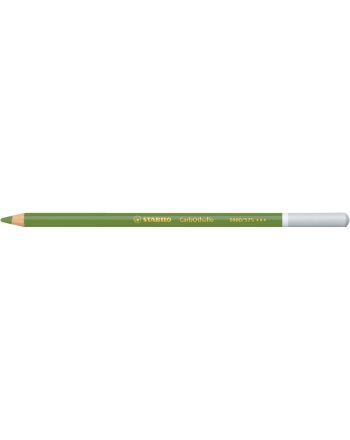 CRAYONS DE COULEURS - CARBOTHELLO - VERT FEUILLE