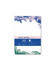 Blocs-notes - Multicolore