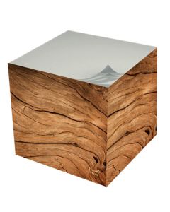 Blocs-notes - Multicolore
