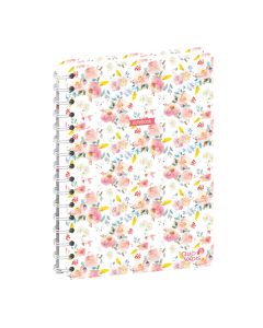Carnets - Multicolore