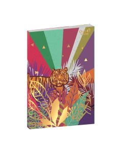 Carnets - Multicolore